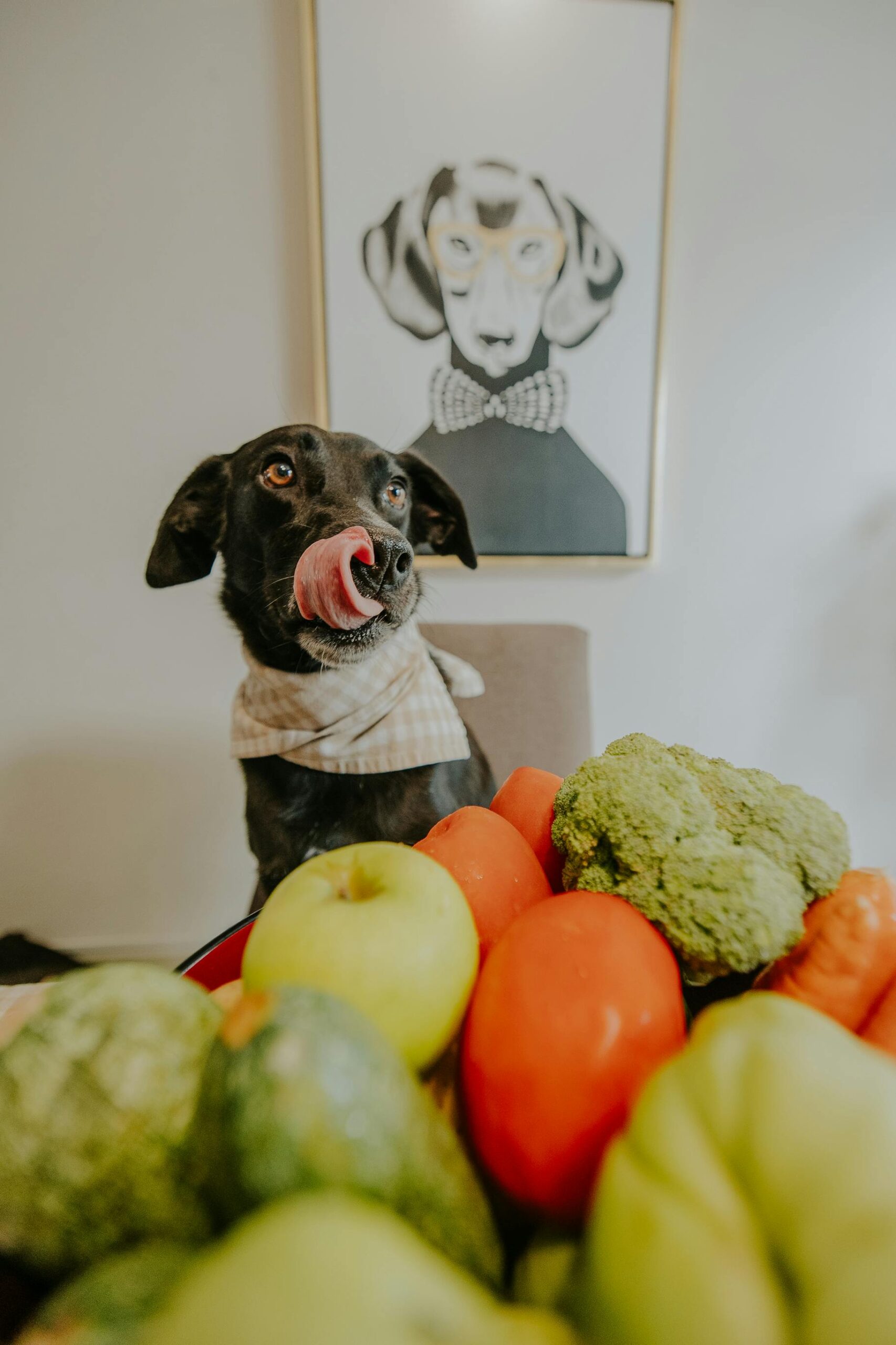 Best Home-Cooked Meals for Dogs