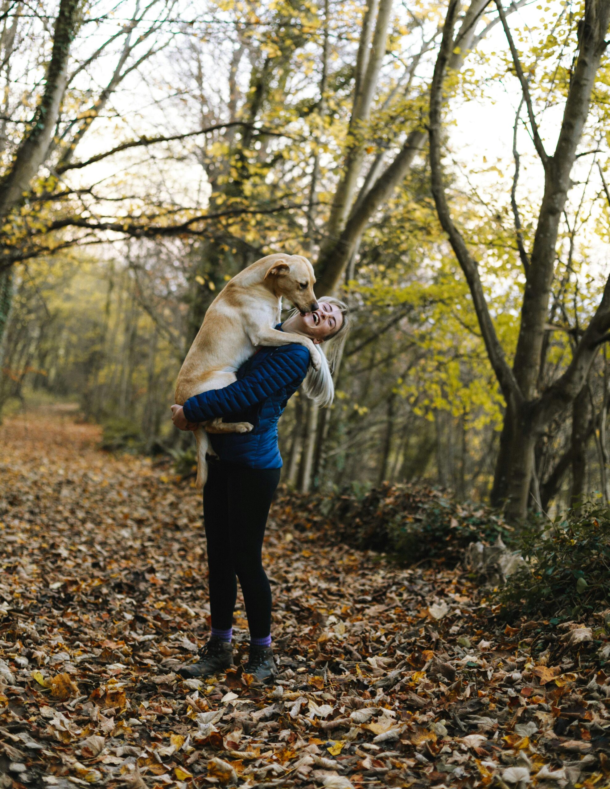 How And Where To Pet A Dog